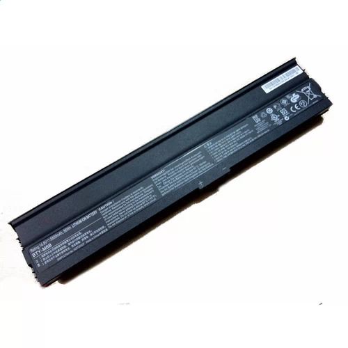 S6000 Batterie