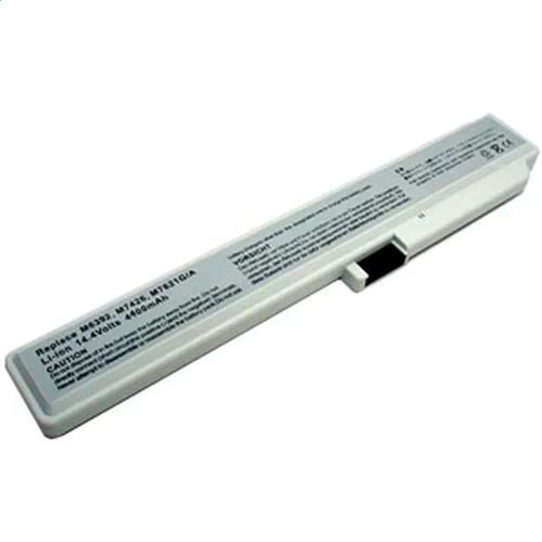 Batterie pour Apple M7621